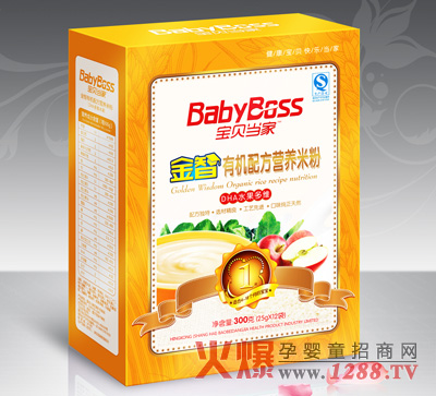 寶貝當(dāng)家DHA水果多維嬰兒米粉