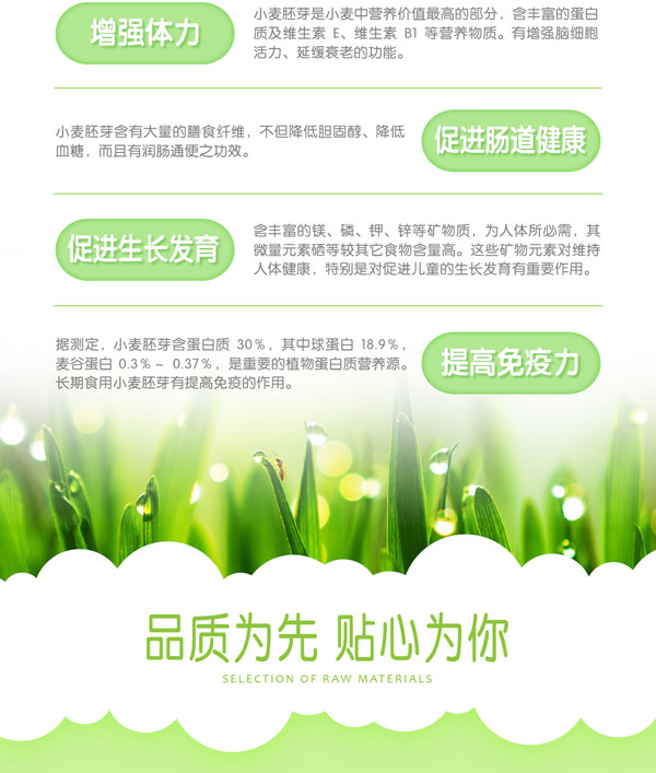 匯嬰寶小麥胚芽米餅.jpg
