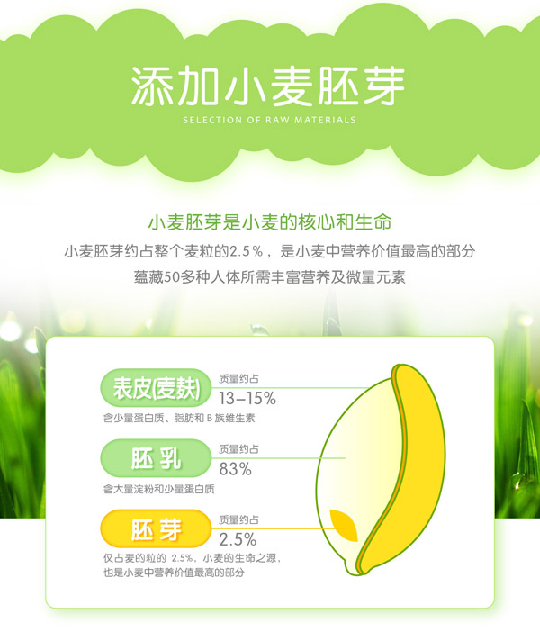 匯嬰寶小麥胚芽米餅.jpg