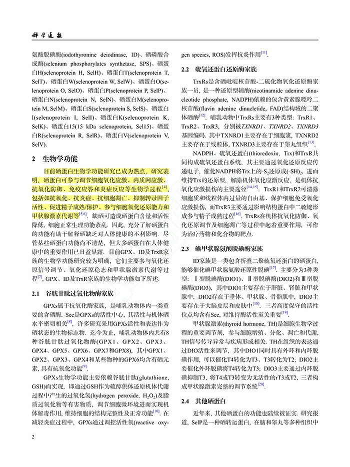 圖片 (2).jpg