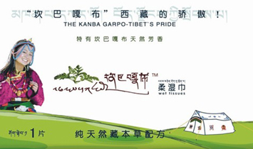 西藏坎巴嘎布衛(wèi)生用品有限公司北京分公司