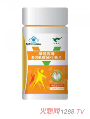 綠健園牌多種B族維生素片